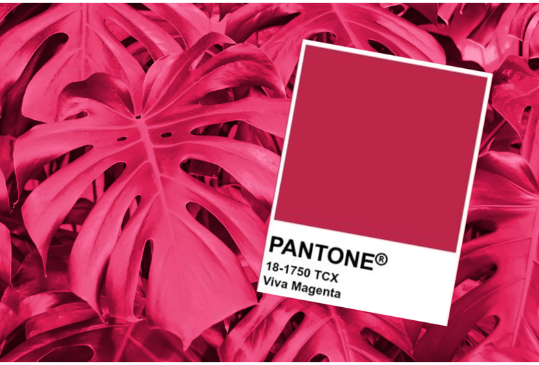Pantone colour of the year 2023