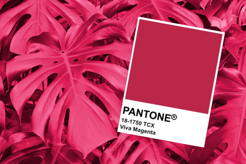 Pantone colour of the year 2023