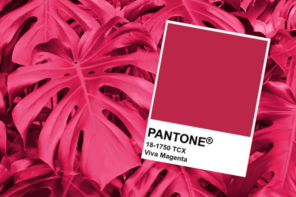 Pantone-Viva-magenta