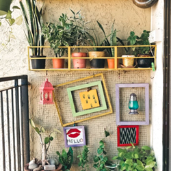 A wall with plants in colourful pots and random, fun pictures on it