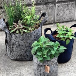 A group of plants in Root Pouch Saddle Bags