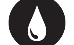 oil oil