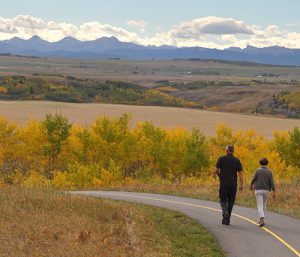 Glenbow-Park---web