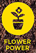 Flower-Power---web Flower-Power---web