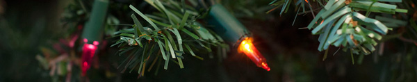 Christmas-Lights--web Christmas-Lights--web