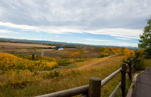 Glenbow-Park---web