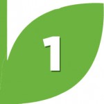Leaf-1.jpg-web Leaf-1.jpg-web