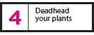 Deadhead-Your-Plants---web
