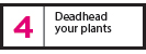 Deadhead-Your-Plants---web Deadhead-Your-Plants---web