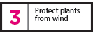 Protect-Plants-From-Wind---web Protect-Plants-From-Wind---web