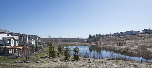 Okotoksheaderweb Okotoksheaderweb