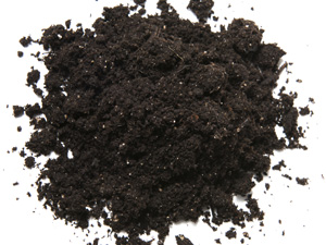 Soil---web Soil---web