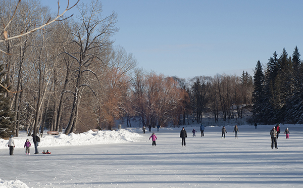 A Calgarian pastime, skating on the Bowness Park lagoon A Calgarian pastime, skating on the Bowness Park lagoon
