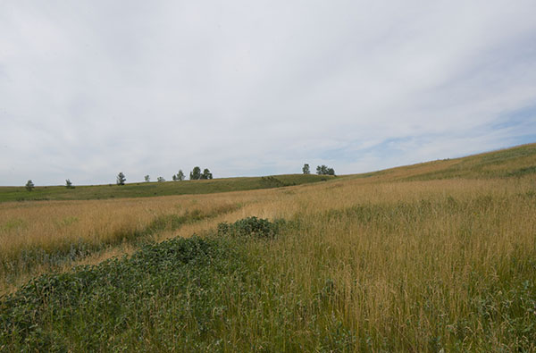 NoseHill_2web NoseHill_2web