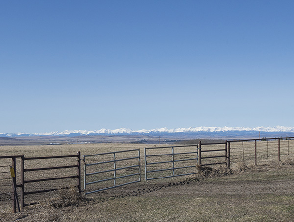 FENCE_MOUNTAINSweb FENCE_MOUNTAINSweb