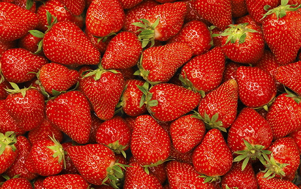 strawberries strawberries