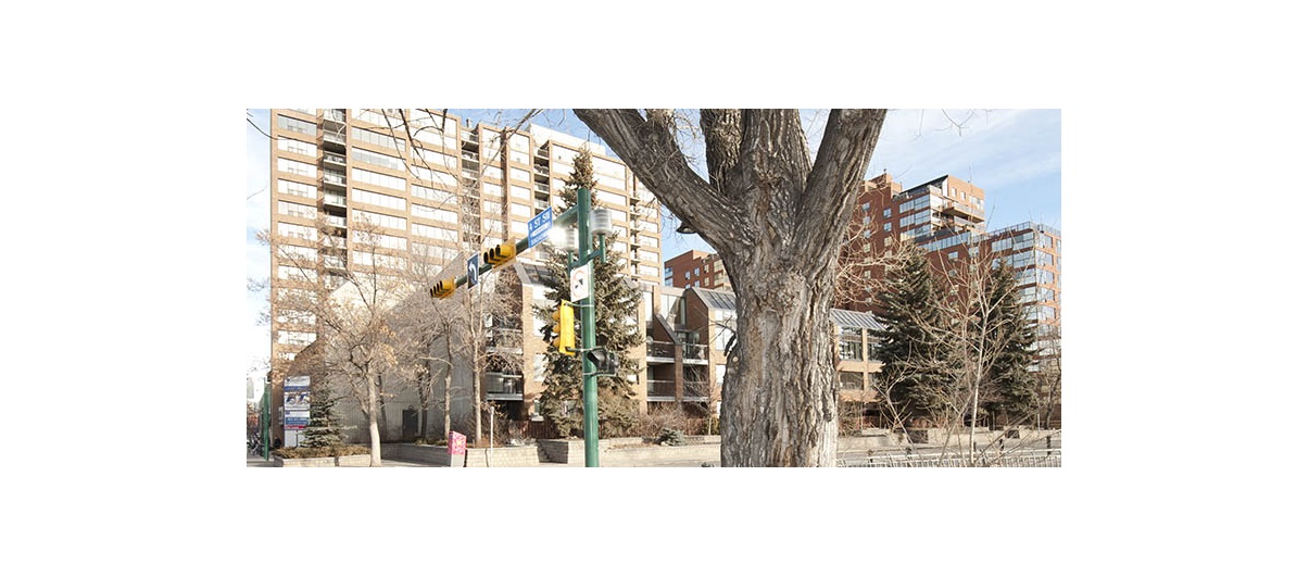 Housing industry officials expect conditions to favour the renter in 2017 much like it did in 2016. CREB®Now photo