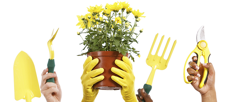 Hiring a gardener is not the same as hiring a house cleaner, says 'No Guff Gardener' Donna Balzer.
