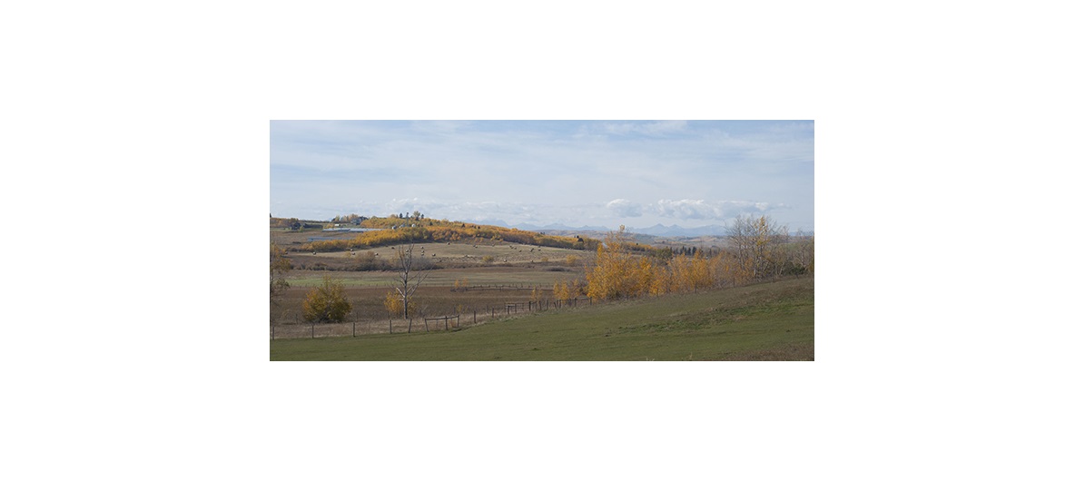 M.D. of Foothills Mayor Larry Spilak says  a growing number of new residents in the area are younger couples to middle-age professionals who are choosing to raise their families in a rural environment. CREB®Now file photo.