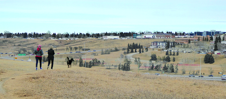 According to CREB®, some districts east of Deerfoot Trail are exhibiting price resilience – and even some 
gains – despite the citywide bench-mark price slipping by 3.45 per cent from the same time last year 
to $445,000. Photo by Cody Stuart/Managing Editor