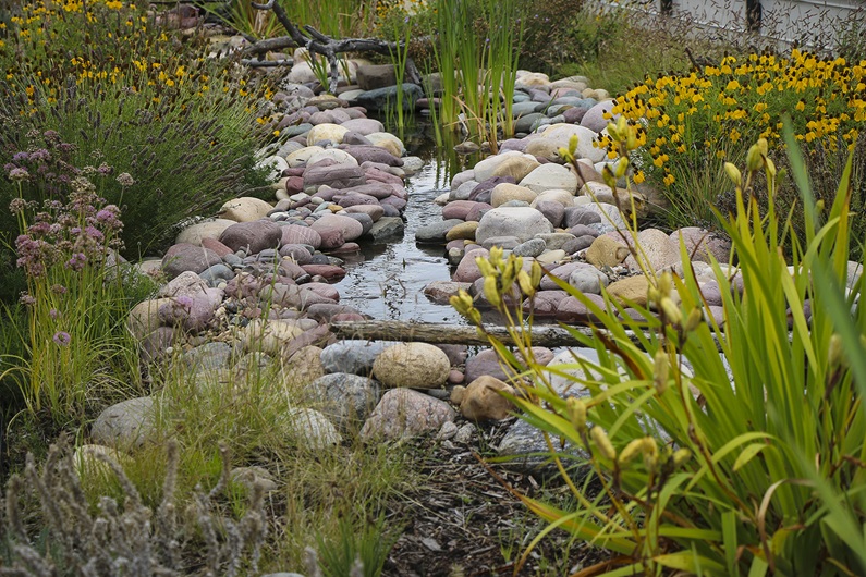 The Berry Architecture & Associates Building in Red Deer features a green roof where people, birds, flowers and bumblebees can cohabitate in harmony. Photos by Cynthia Pohl