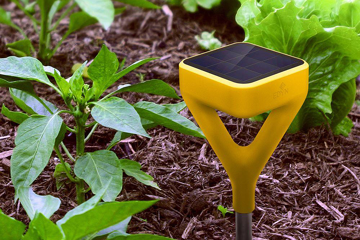 Gardening sensors can make managing a garden much easier. Photo courtesy of Edyn