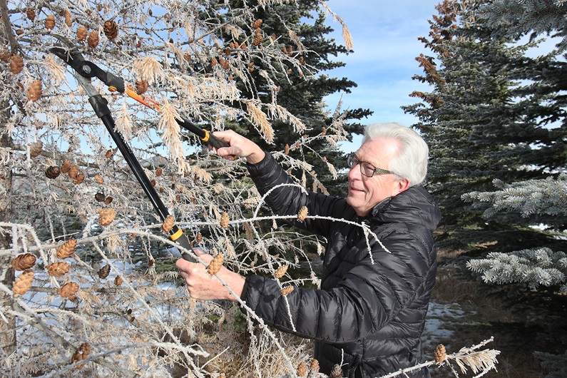 John Paulsen is a diligent caretaker of his acreage and has learned that planning ahead makes maintenance much easier.