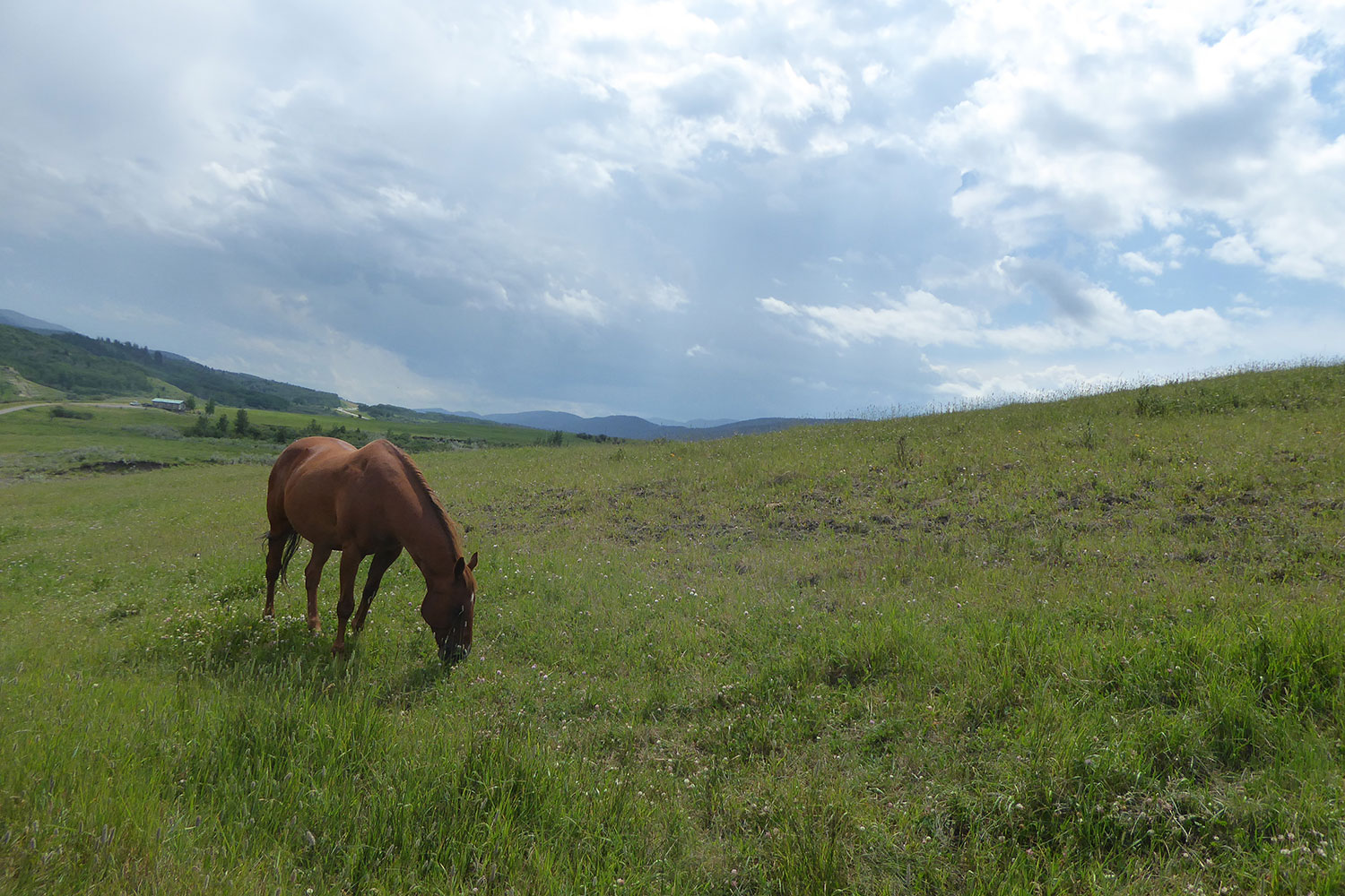 Cody Stuart / CREB®Now