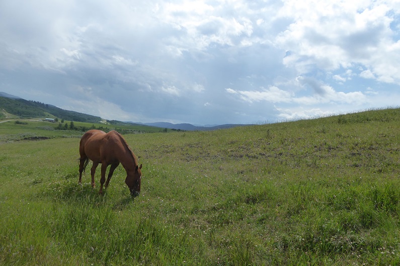 Cody Stuart / CREB®Now