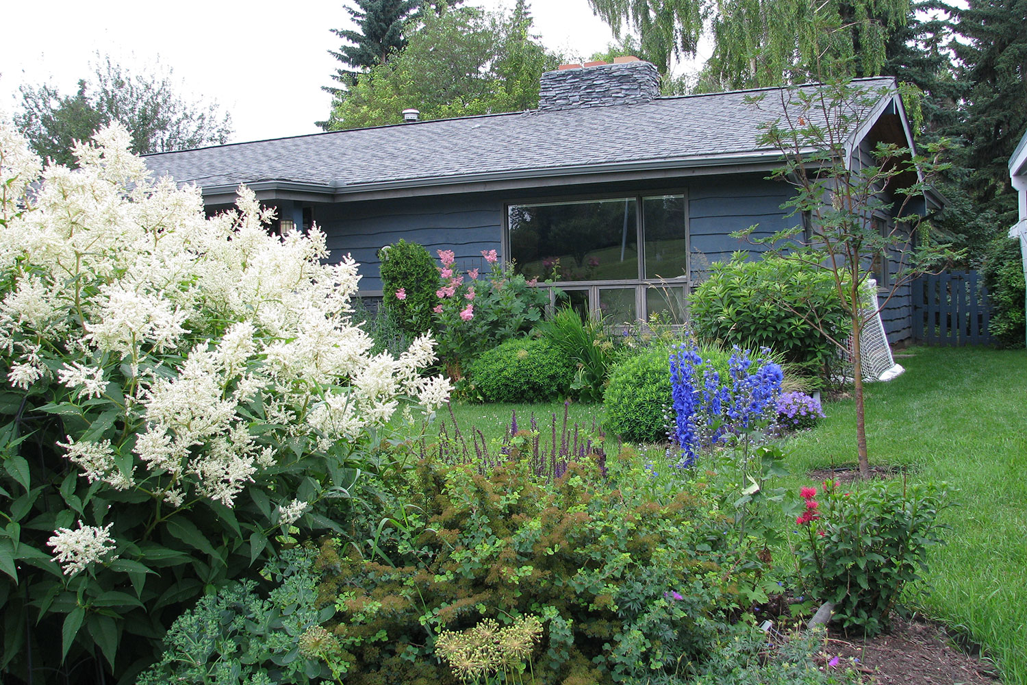 Giant fleeceflower (persicaria
polymorpha) is hardy enough to be
grown throughout the city.
Donna Balzer / For CREB®Now