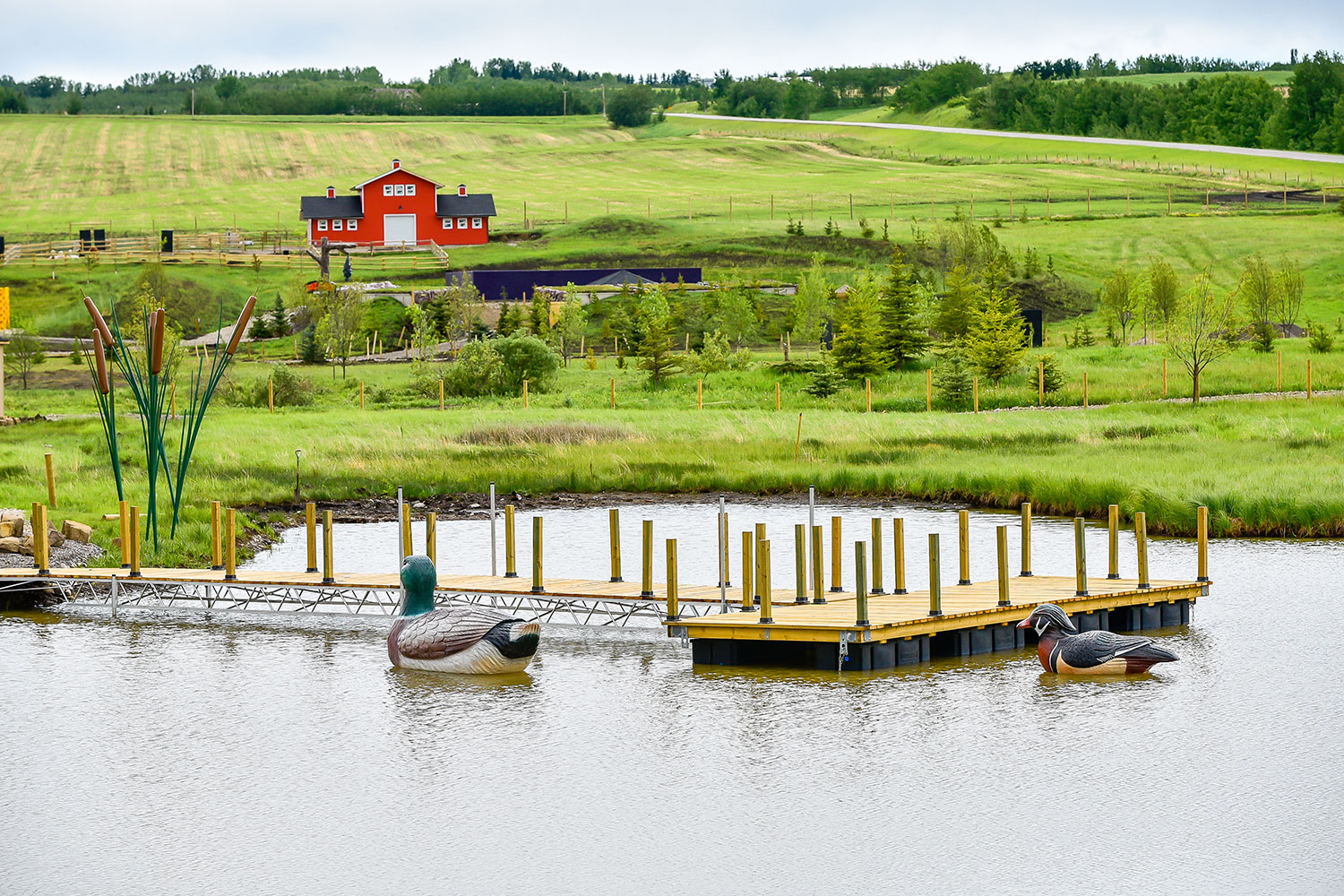   With its farmers market, restaurant and lounge, and active learning park, Granary Road was designed to be a destination with something for the whole family, says director of business development Jane Walter-Lockwood.
Jose Quiroz / For CREB®Now