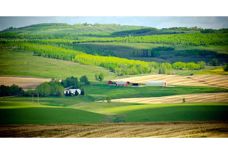 Municipal District of Foothills encompasses some 3,600 square kilometres of ranchlands and rolling hills. It also includes the towns of Okotoks, High River, Black Diamond, Turner Valley and Longview. Photo by Jesse Yardley / For CREB®Now