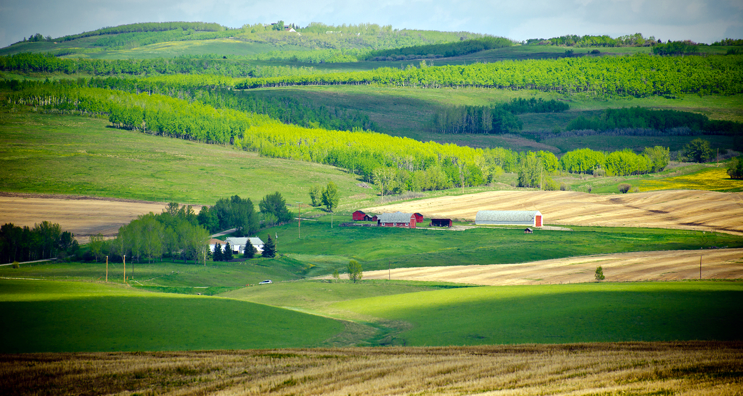 Municipal District of Foothills encompasses some 3,600 square kilometres of ranchlands and rolling hills. It also includes the towns of Okotoks, High River, Black Diamond, Turner Valley and Longview. Photo by Jesse Yardley / For CREB®Now