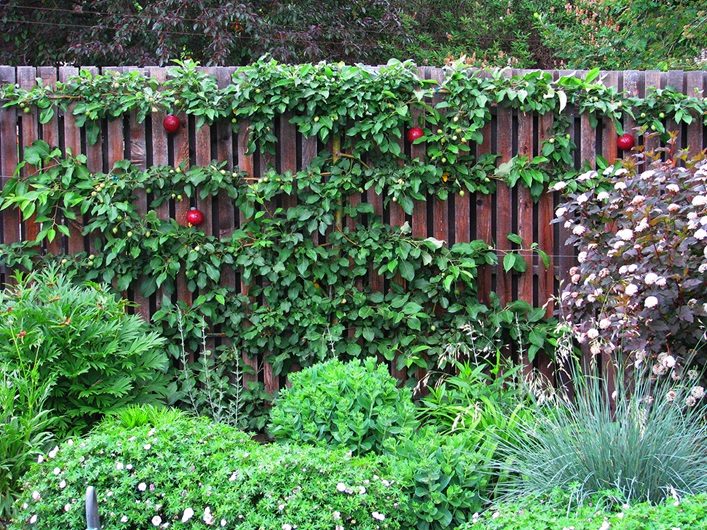 Tiny changes in elevation and orientation can alter the microclimate of a garden. Donna Balzer / For CREB®Now