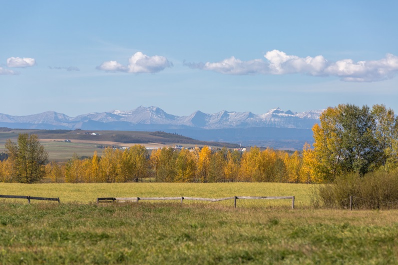 Anthem United’s new community, D’Arcy, will be built on 280 acres of land on the north side of Okotoks, and will include Okotoks’ first duplex homes.
Courtesy Anthem United