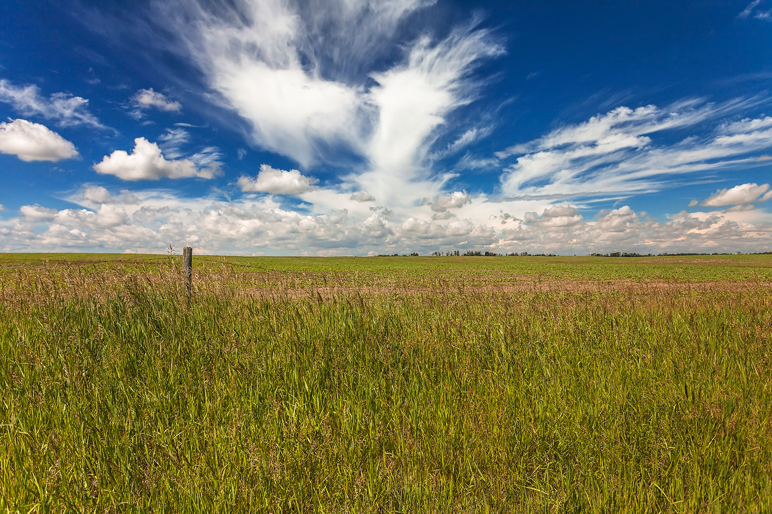 Based on the Real Estate Investment Network’s Real Estate Cycle Scorecard and Clock, Calgary is currently well-suited to a “buy and hold” investment strategy, which is good news for land buyers.
Getty Images