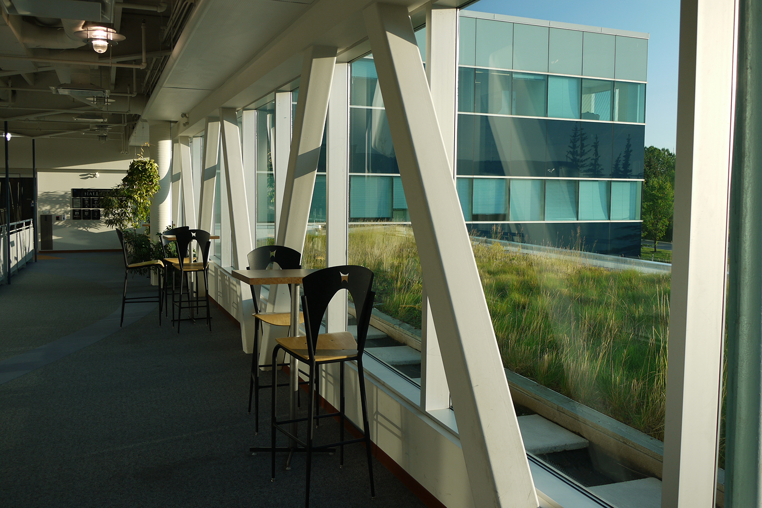 Sustainable urban design features like green roofs provide a number of benefits to people and the environment.
Courtesy Kerry Ross