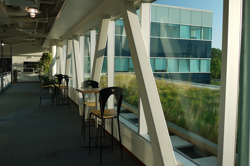 Sustainable urban design features like green roofs provide a number of benefits to people and the environment.
Courtesy Kerry Ross