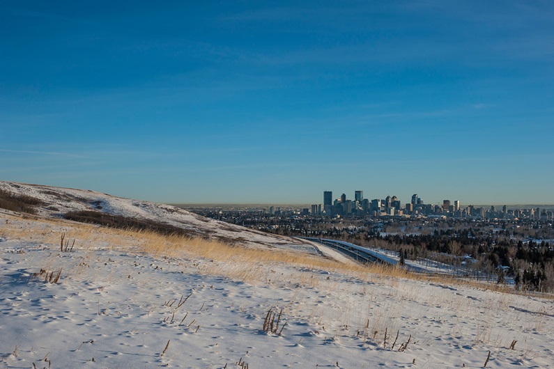 Cody Stuart / CREB®Now