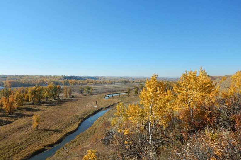 Courtesy City of Calgary