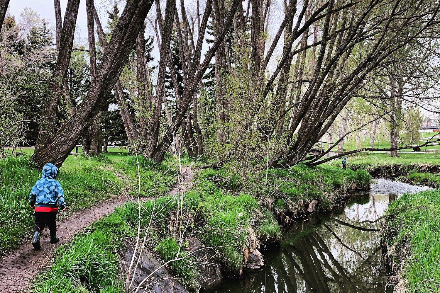Confederation Park marks Mount Pleasant's northern border.
Cody Stuart / CREB®Now