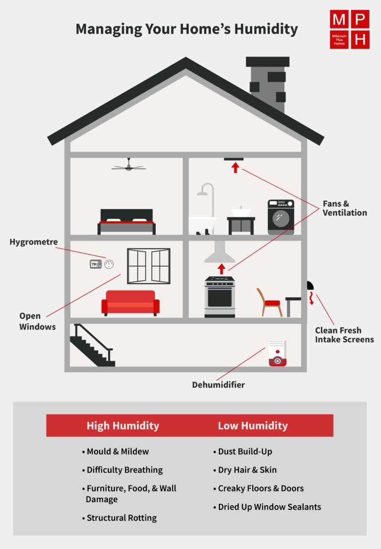 How to Find the Right Humidity Level in Your Home