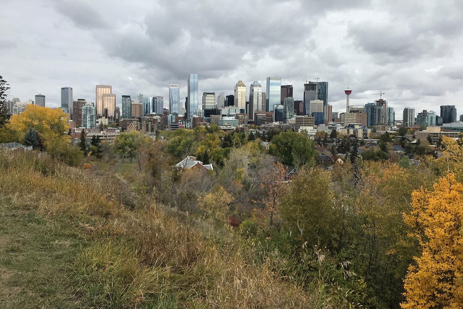Mount Royal's Hillcrest Avenue provides stunning views of Calgary's downtown.
Tyler Difley / CREB®Now