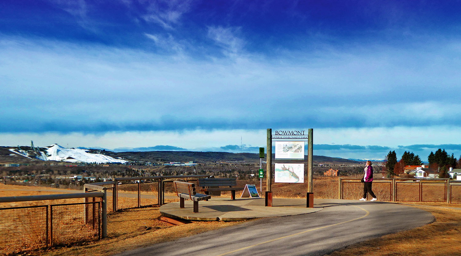 Bowmont Park runs along the northern bank of the Bow River in northwest Calgary. Photo by Cody Stuart / For CREB®Now