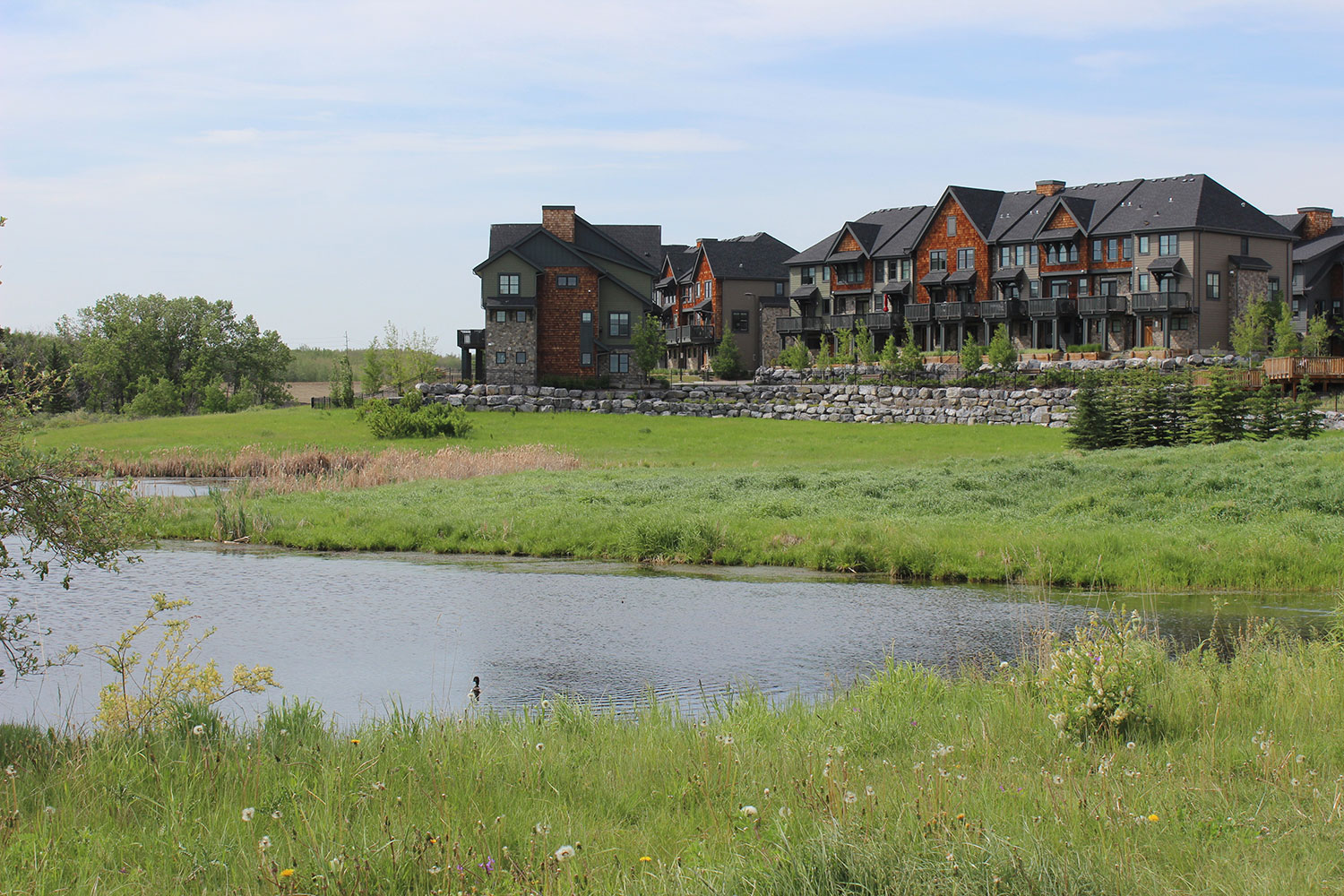 As an older, established Calgary community, Dalhousie is packed with mature trees, large yards and beautiful green spaces.
Courtesy Dalhousie Community Association